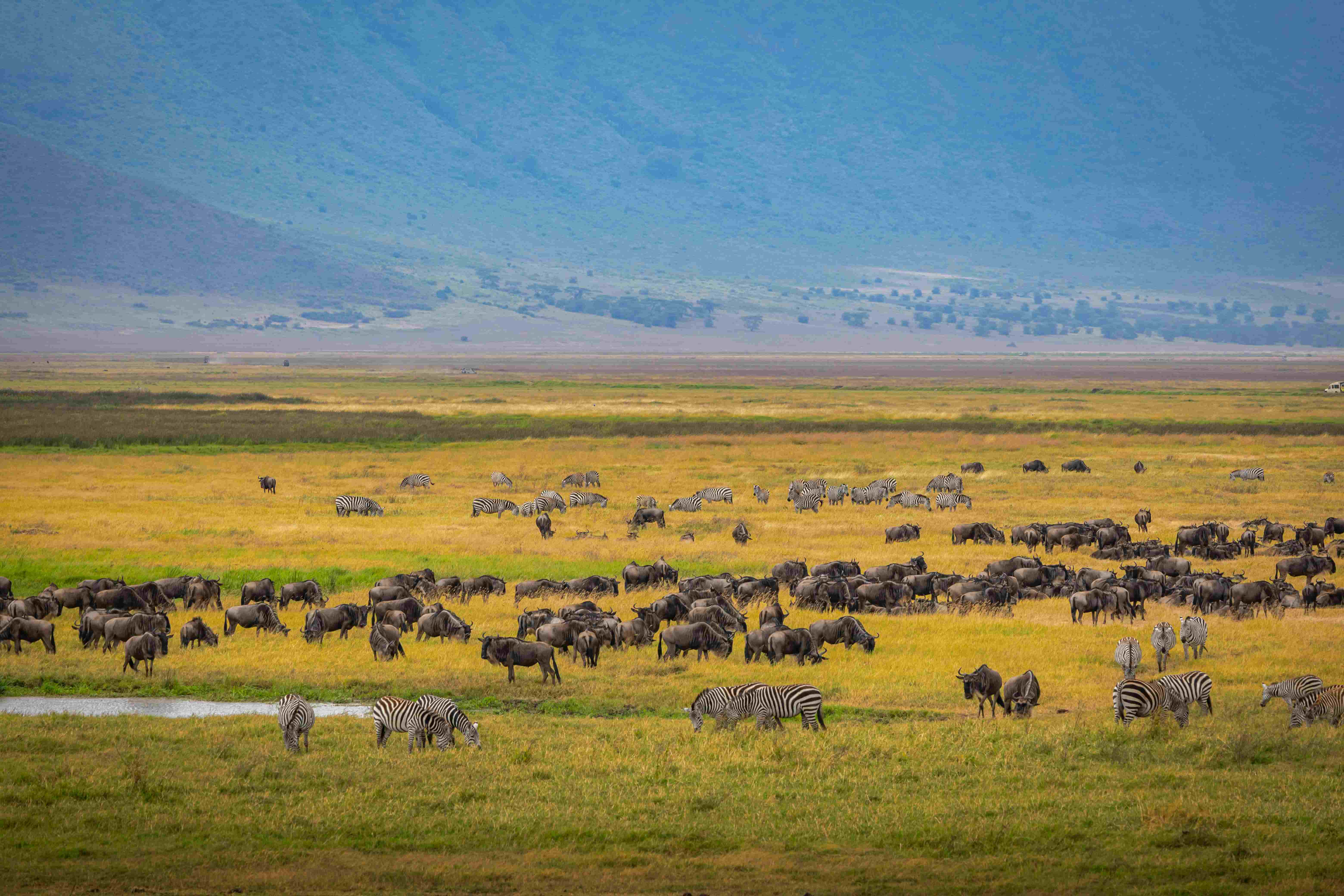 Ngorongoro Crater View